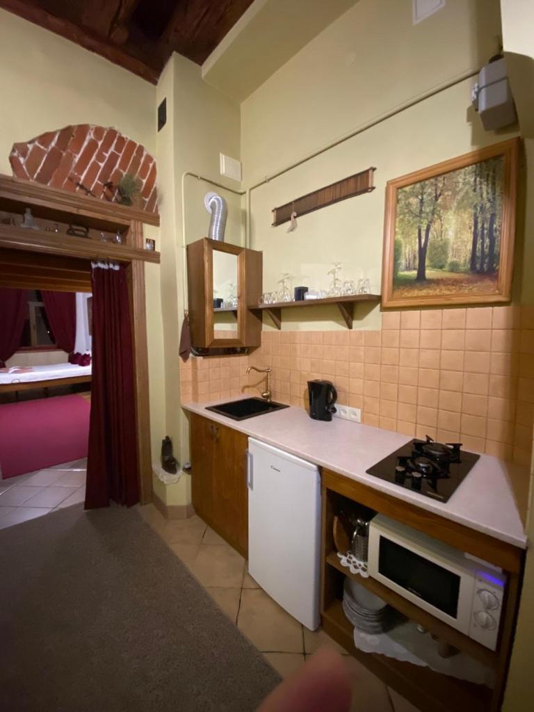 לבוב Museum Apartments מראה חיצוני תמונה